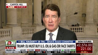 Europe needs to ‘wake up’ and realize Trump’s tariffs are a way to stop funding Russia, senator says - Fox Business Video