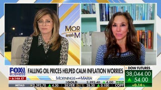 It will be a good year for stock investors: Gina Bolvin - Fox Business Video