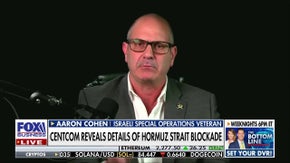 Iran oil exports are regime&rsquo;s &lsquo;lifeline,&rsquo; Israeli special ops veteran says - Fox Business News