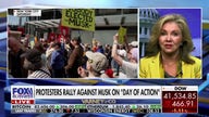 GOP senator slams 'out of control' Tesla protestors: 'Trump Derangement Syndrome is alive and well'