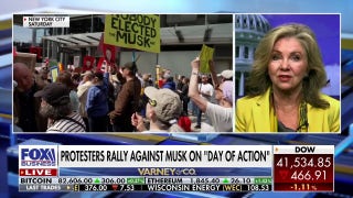 GOP senator slams 'out of control' Tesla protestors: 'Trump Derangement Syndrome is alive and well'
