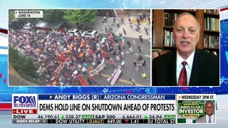 'No Kings' rally is a 'misnomer,' argues GOP congressman
