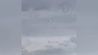 Plane returns to Denver airport after 'possible wildlife' strike