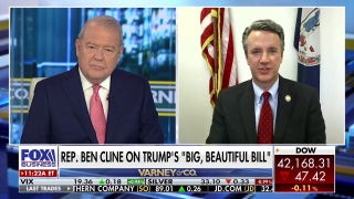 Trump will duplicate UK trade deal with other nations, including China: Rep. Ben Cline
