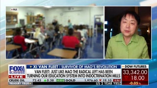 Democrats have changed into 'radicalized, communist party': Xi Van Fleet - Fox Business Video