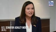 'It should scare anyone': Inside the far-left agenda targeting Florida's free market