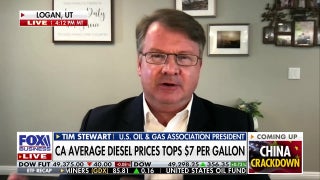 Oil industry expert: The ‘green dream’ has turned into an expensive nightmare