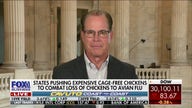 Biden's spending is a 'bad business plan' for America: Sen. Mike Braun