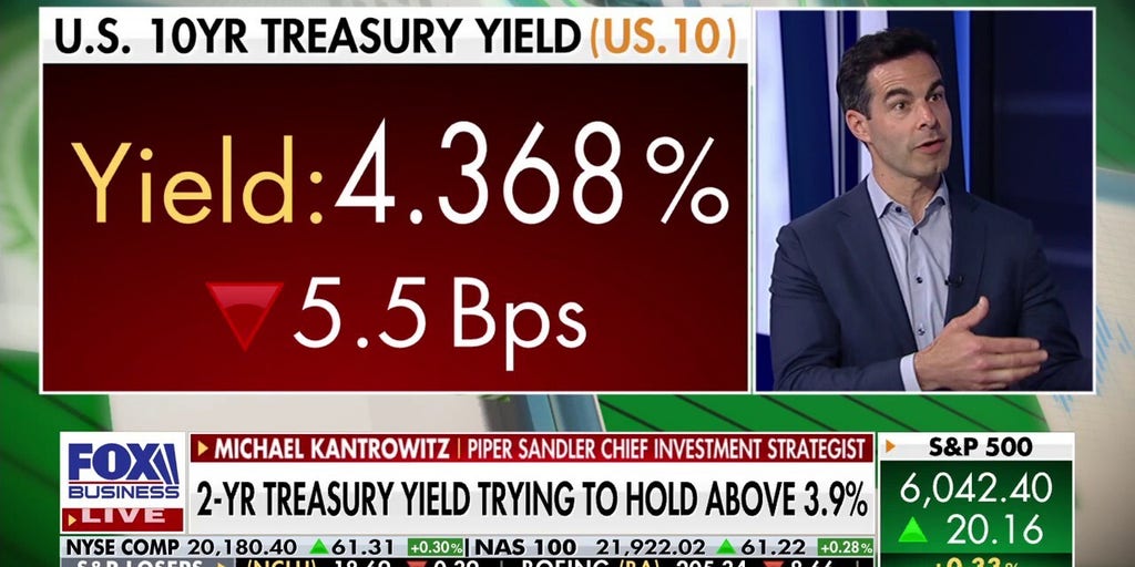 US economy is 'frozen' due to a string of compounding uncertainties, strategist says | Fox Business Video