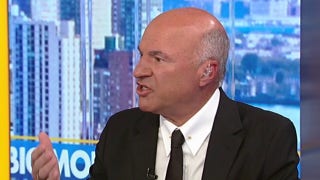 DOGE is going to keep going, Kevin O’Leary says