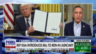 Trump's agenda is being challeneged by 'rogue judges': Rep. Darrell Issa