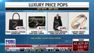 Luxury retail faces first decline in 15 years as consumer spending slows - Fox Business Video