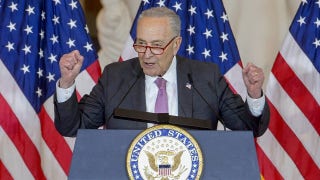 Chuck Schumer inflicted 'devastating pain' on the American people, congressman says