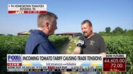 Looming tomato tariff causing trade tensions