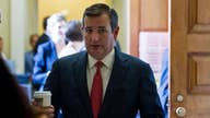 Ted Cruz endorses Trump for 2020 election