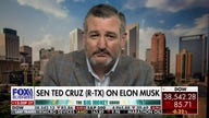 Big Tech has been putting the 'almighty dollar' over the interest of our children: Sen. Ted Cruz