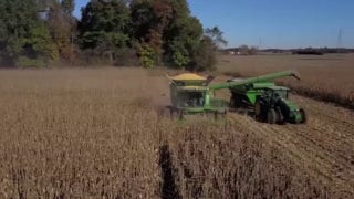 China has been buying up our farmland and we have to make a change, Brooke Rollins says