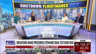 Airport chaos explodes as DHS funding fight drags on, Democrats blamed for travel disruptions