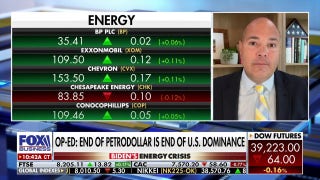America is getting ‘pushed around’ in the oil industry: Daniel Turner - Fox Business Video