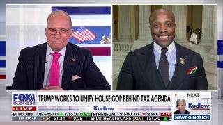 Rep. Wesley Hunt '100%' behind Trump's 'Golden Dome' proposal