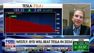 China’s EV competitor BYD will beat out Tesla in 2024: Steve Westly - Fox Business Video