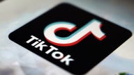 Biden team concerned about national security issues involving TikTok: Gasparino