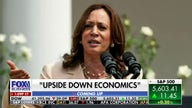 Kamala Harris' economic plans are akin to Argentina's socialist programs: Daniel Lacalle