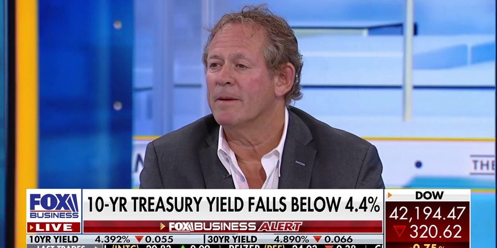 Investors can do a bunch with their portfolios in this environment, expert says | Fox Business Video