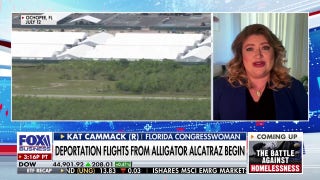 We are moving people out of the country who shouldn't have been here in the first place, GOP lawmaker says