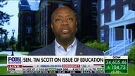 Sen. Tim Scott: My story tells America all things are possible
