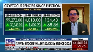 Bitcoin will hit $250K by the end of 2025: David Tawil - Fox Business Video