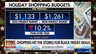 Fox Poll: 47% of Americans are spending less this holiday season amid affordability crisis