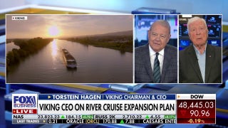 Viking is a 'different animal' from cruise lines, CEO says