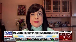 Rep. Malliotakis warns of ‘serious questions’ over automatic voter registration for non-citizens