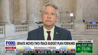 GOP senator on DOGE exposing the government’s ‘lack of transparency’: ‘This is the swamp’