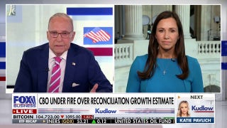Alleged agro-terrorism by Chinese nationals proves China is 'greatest threat and adversary' to US, GOP senator says.