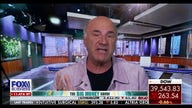 TikTok cyber security concerns are 'not a partisan issue': Kevin O'Leary