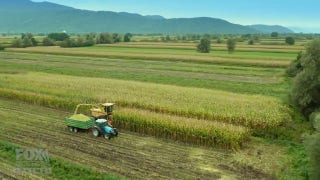 Mike Rowe dives into the process behind corn production - Fox Business Video