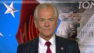 Peter Navarro: Trump's tariffs are not affecting US consumers