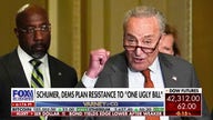 Schumer unveils resistance plan to fight Trump's 'ugly' bill