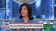 Musk is 'trying to divide' GOP, 'derail' Trump's agenda with budget bill criticism: GOP rep