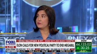 Musk is 'trying to divide' GOP, 'derail' Trump's agenda with budget bill criticism: GOP rep