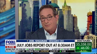 US to see low unemployment 'for a long time': Joel Shulman - Fox Business Video