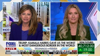 This seems like a catastrophic failure: Rep. Laurel Lee - Fox Business Video
