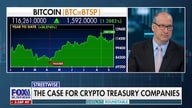 Rise of crypto treasury companies stirs debate