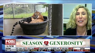Senate passes Big Cat Safety Act putting stop to private ownership of lions, tigers - Fox Business Video