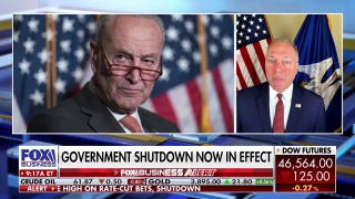 Schumer is giving Trump 'more power' by shutting down government, Rep. Scalise claims