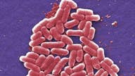 Deadly superbug hits U.S.