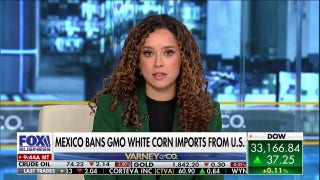 Mexico’s ban on GMO white corn import’s leaving US farmers ‘in the dark’: Madison Alworth - Fox Business Video