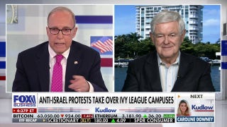 Newt Gingrich: These cowards are sympathetic to the radicals - Fox Business Video
